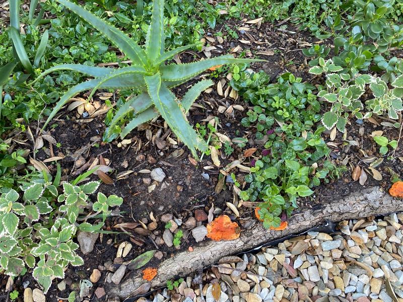 To Let 2 Bedroom Property for Rent in Crofters Valley Western Cape